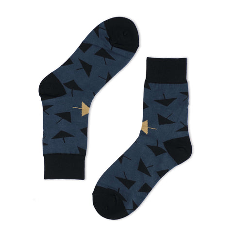 Explore Geometry Socks